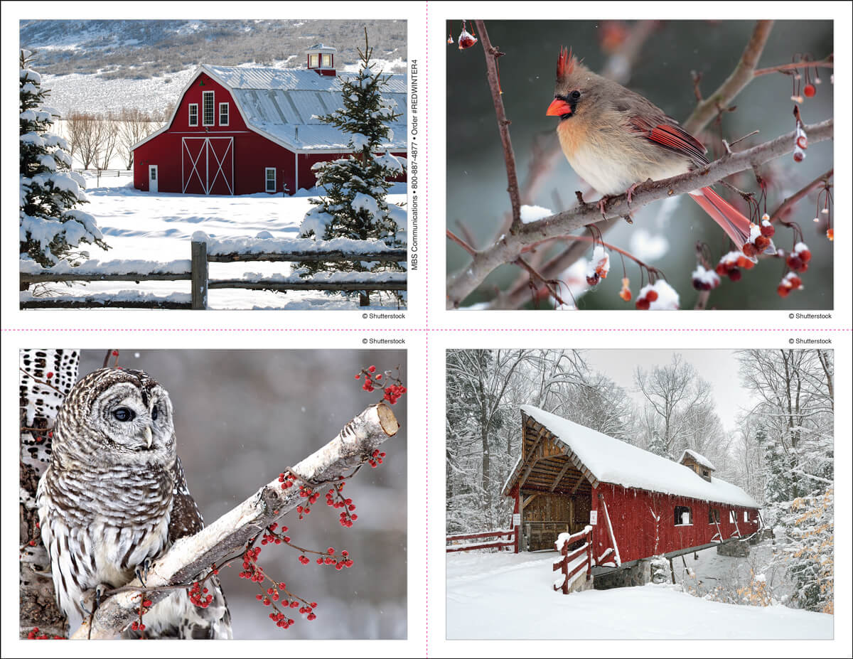 Holiday & Winter Reminder Postcards (REDWINTER4) | Purchase Reminder ...