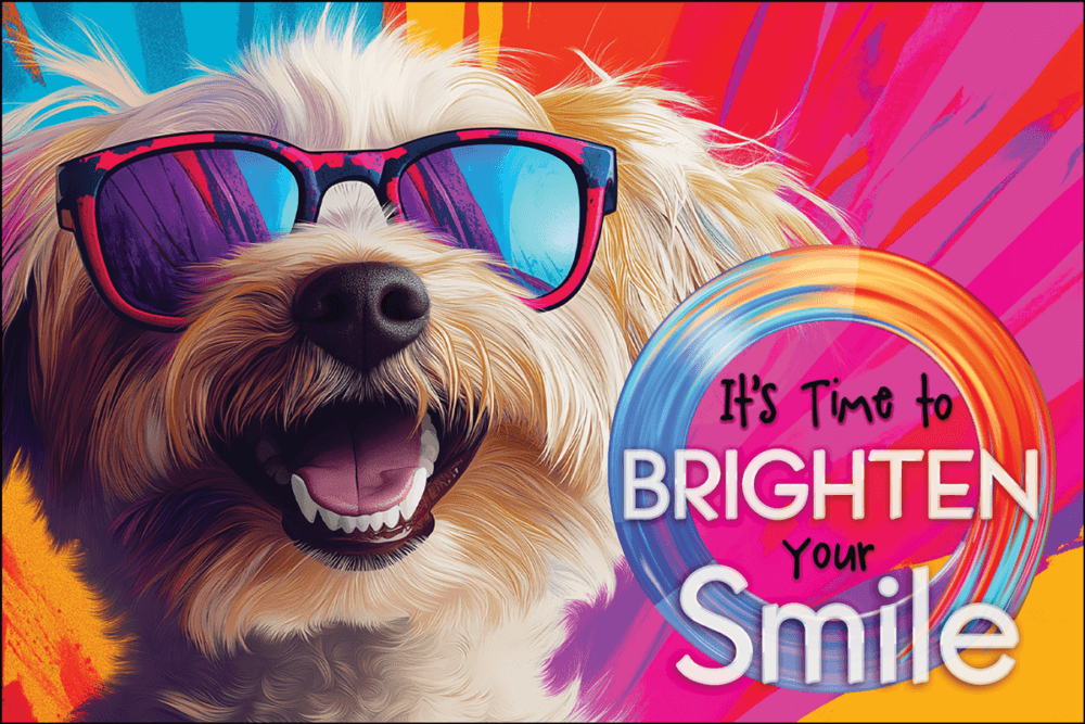 BRIGHTDOG