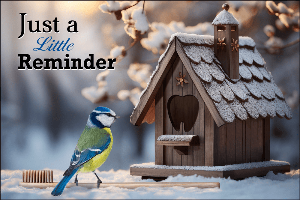 COLDBIRD